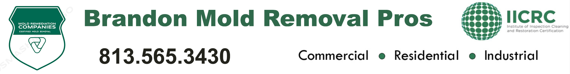 Brandon Mold Removal Pros